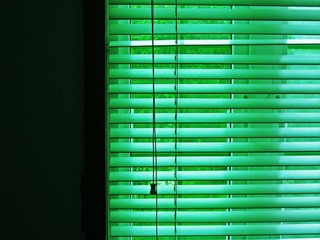 IMG_0292.JPG