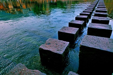 DSC_1509.JPG
