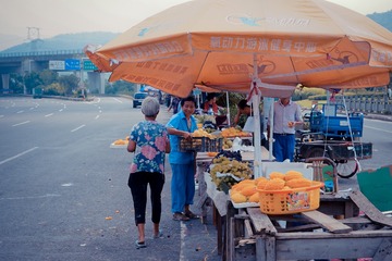 江南•金铃子上市了•宁波丁家山
