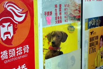 江南•中间的不是广告画，是条真的汪•宁波小港
