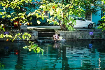 江南•夏日浓荫绿水长•下邵古村
