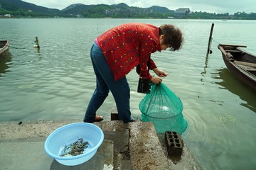 江南·网湖虾·东钱湖四大名菜之一
