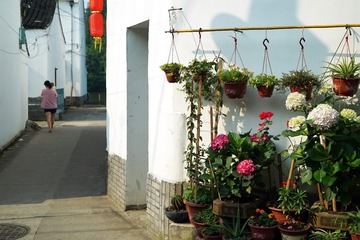 江南•花样年华•宁波鄞州