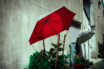 江南•爱花朵，爱生活•殷湾古村