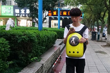 江南•迎面走来爱汪族•宁波小港