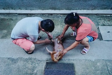江南•好汪别动，给你剪个指甲•下邵古村