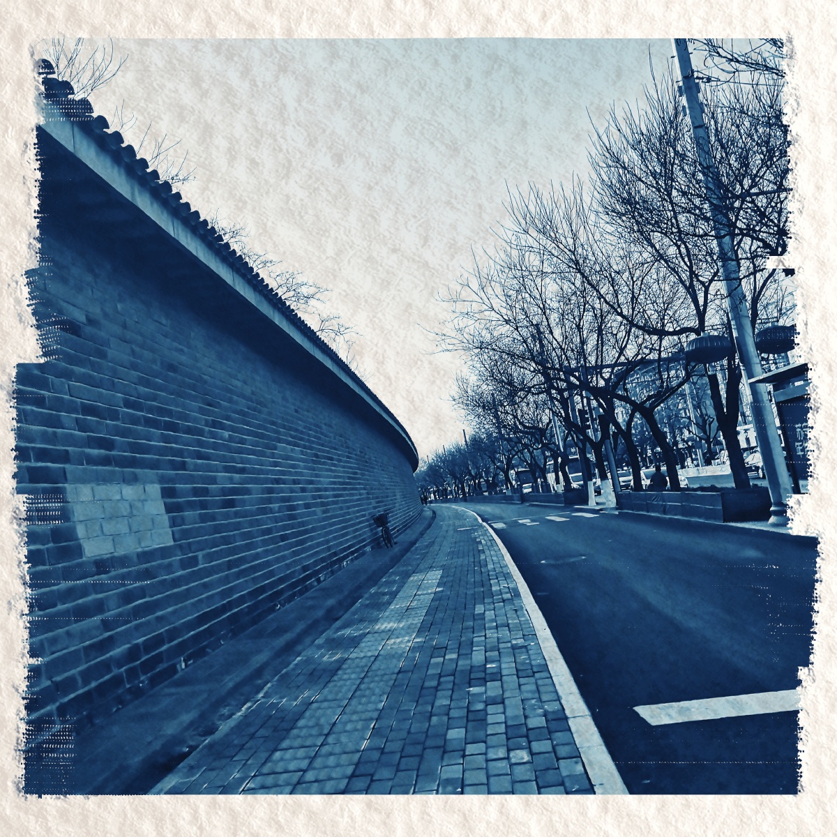 古典蓝晒作品征集大墙外的世界