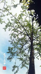 IMAG0089.jpg