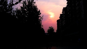 IMAG0113.jpg