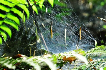 DSC_4419.JPG