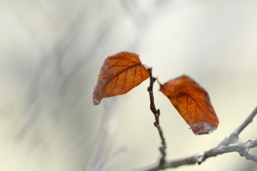 10_缩小大小