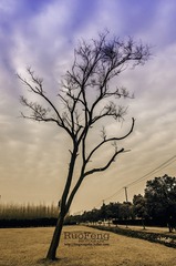 IMGP5114.jpg