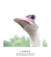 IMGP2694.jpg
