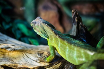 上海水族馆12.jpg
