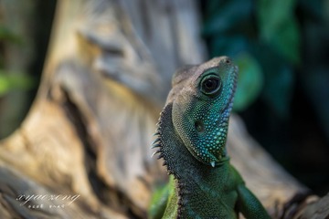 上海水族馆13.jpg