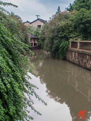 P6284119.jpg