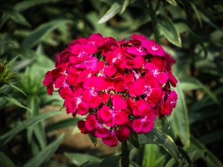 IMG_3570.jpg