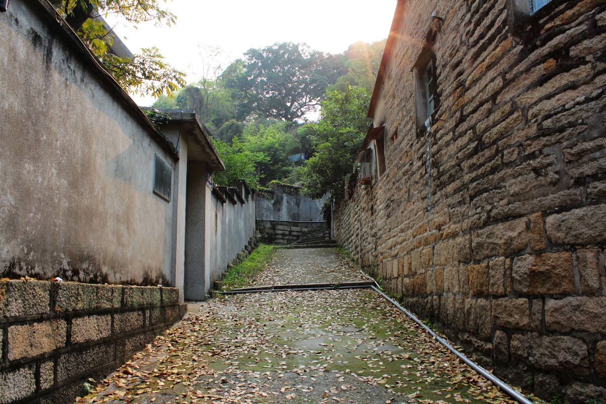 不知通向哪里的空巷 br /> 向岛中心走去 这样空落落的巷子就多了起来