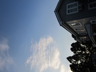 IMG_1194.jpg