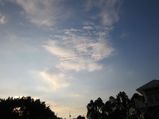 IMG_1198.jpg