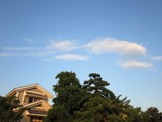 IMG_1201.jpg
