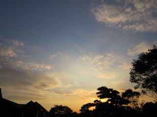 IMG_1210.jpg