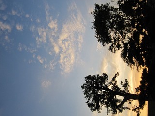 IMG_1212.jpg