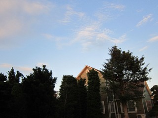 IMG_1215.jpg