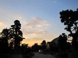 IMG_1216.jpg