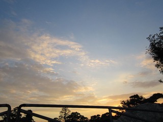 IMG_1219.jpg
