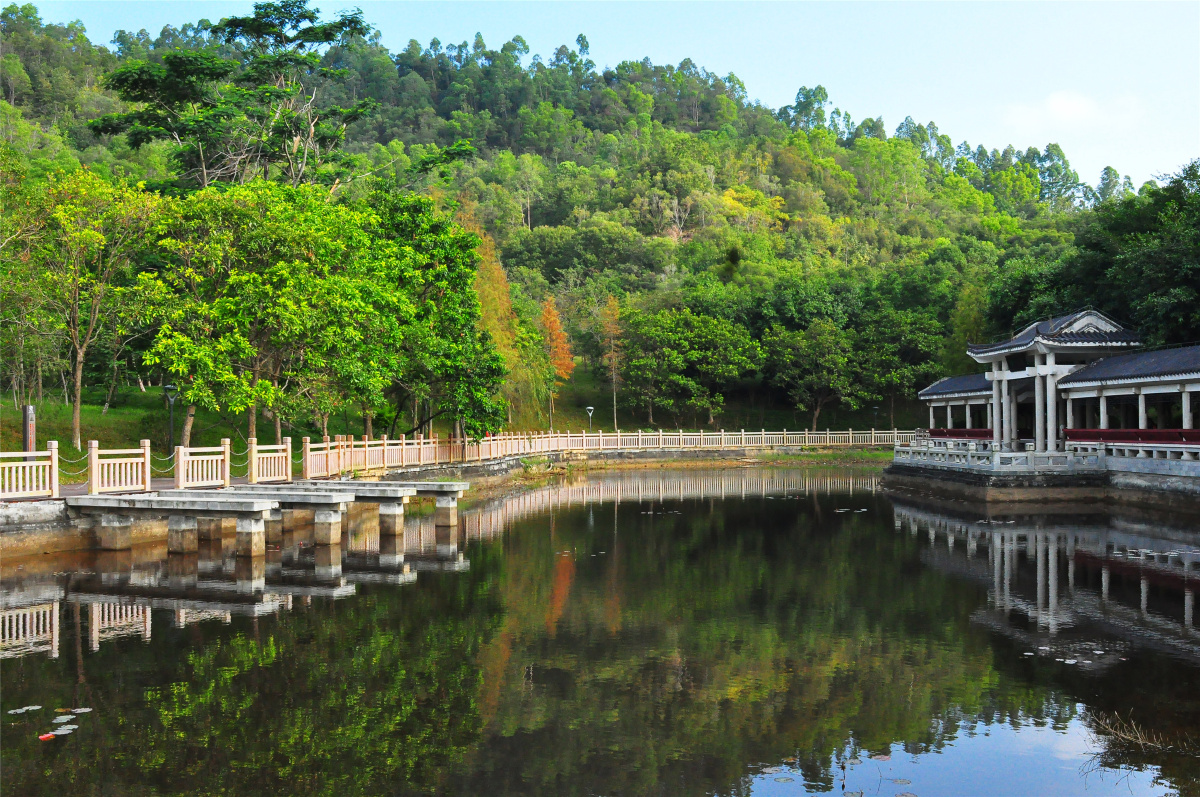 随拍城市公园深圳燕子岭生态公园