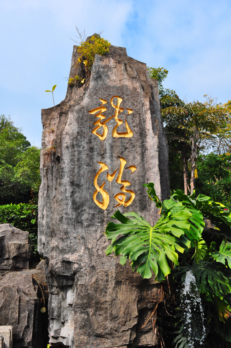 随拍城市公园深圳龙华公园