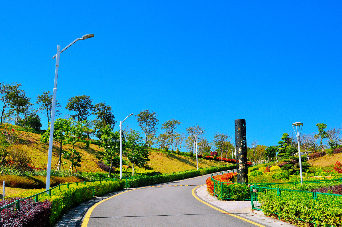 随拍城市公园东莞凤岗雁湖公园