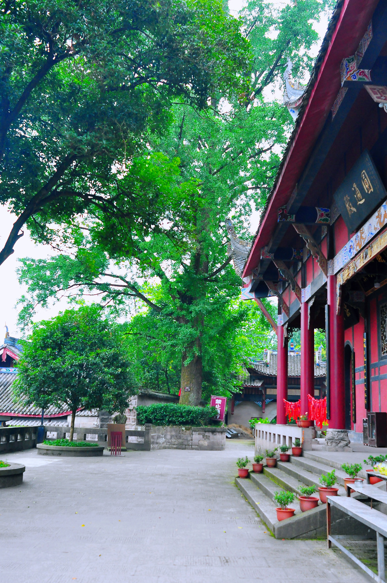 随拍重庆圣寿寺
