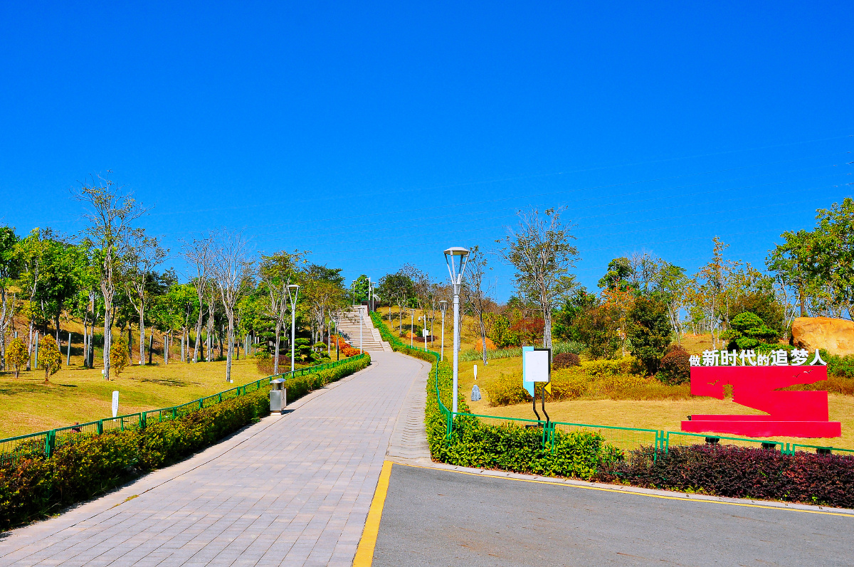 随拍城市公园东莞凤岗雁湖公园