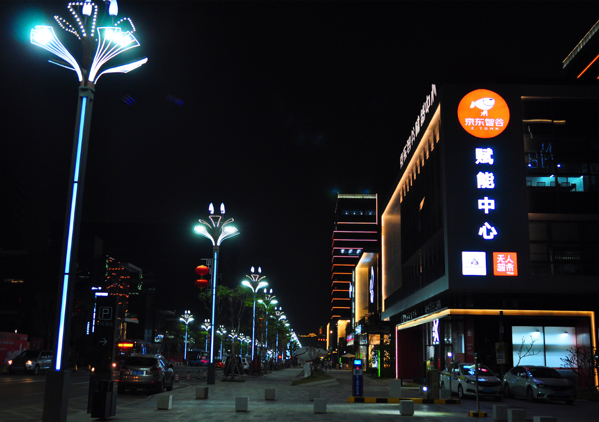 随拍东莞乡村夜景