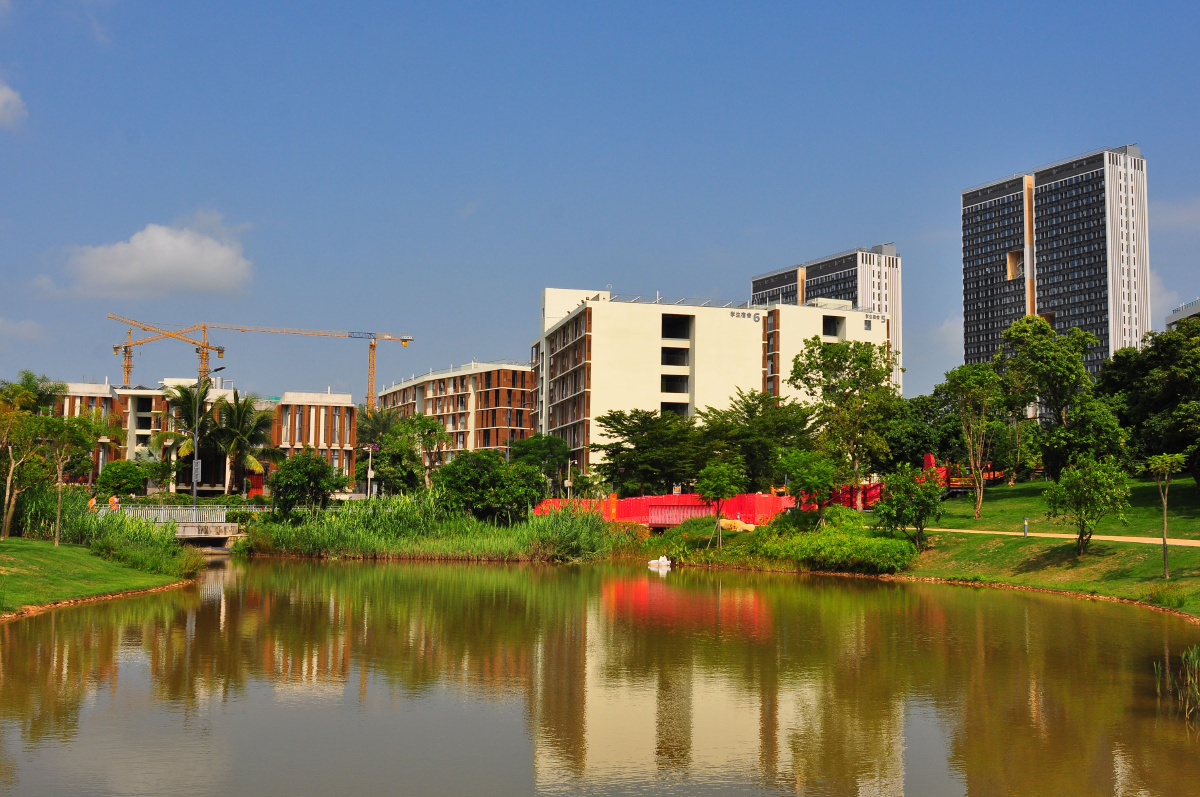 随拍南方科技大学校园