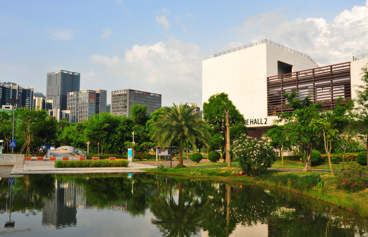 随拍南方科技大学校园