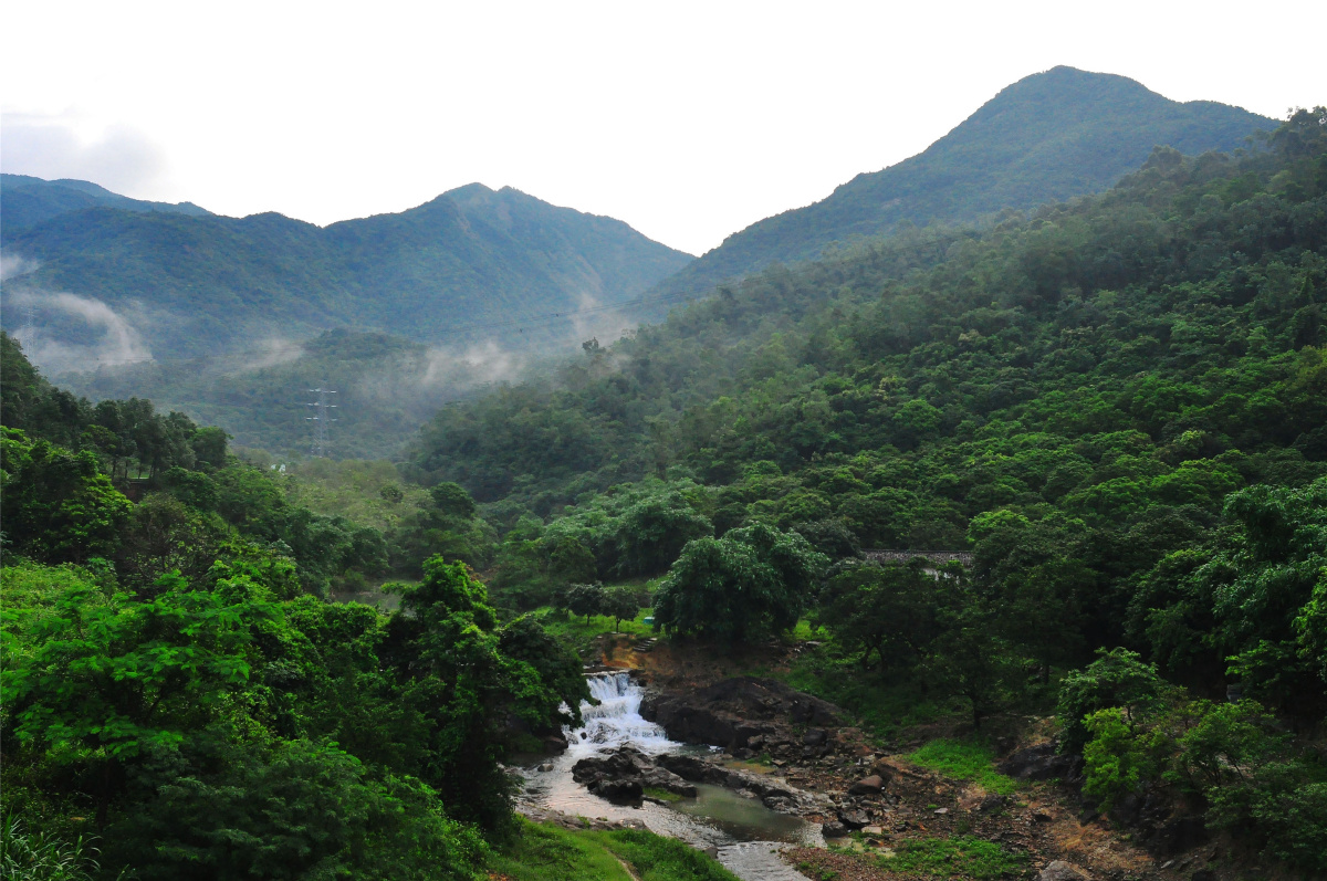 随拍城市公园东莞银瓶山森林公园清溪片天池景区