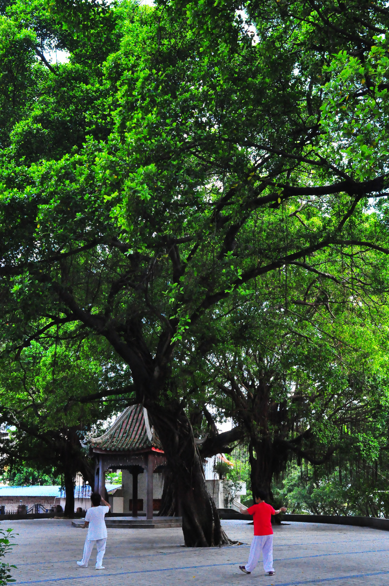 随拍城市公园 - 惠州 中山公园