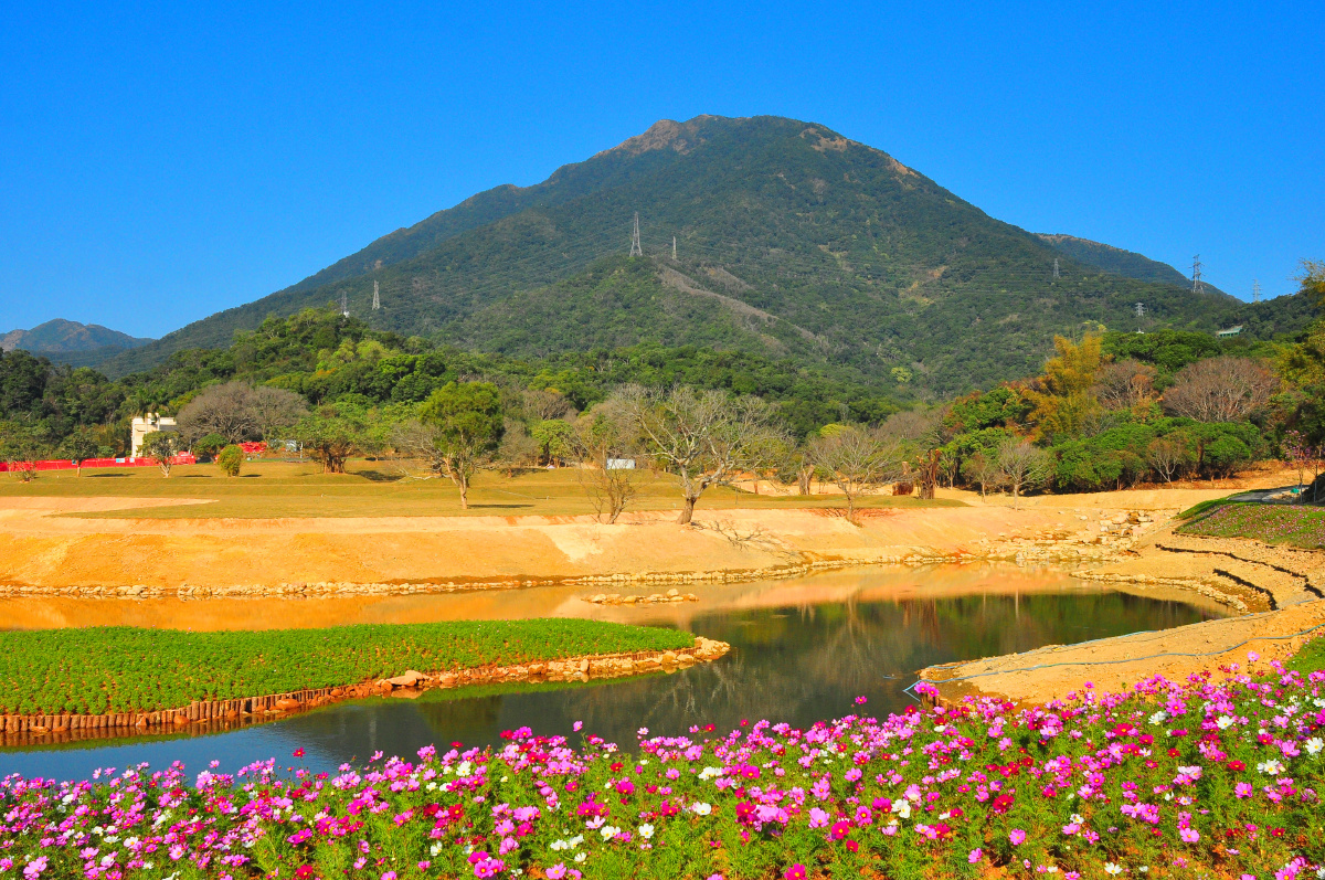 随拍深圳梧桐山森林公园恩上水库片区