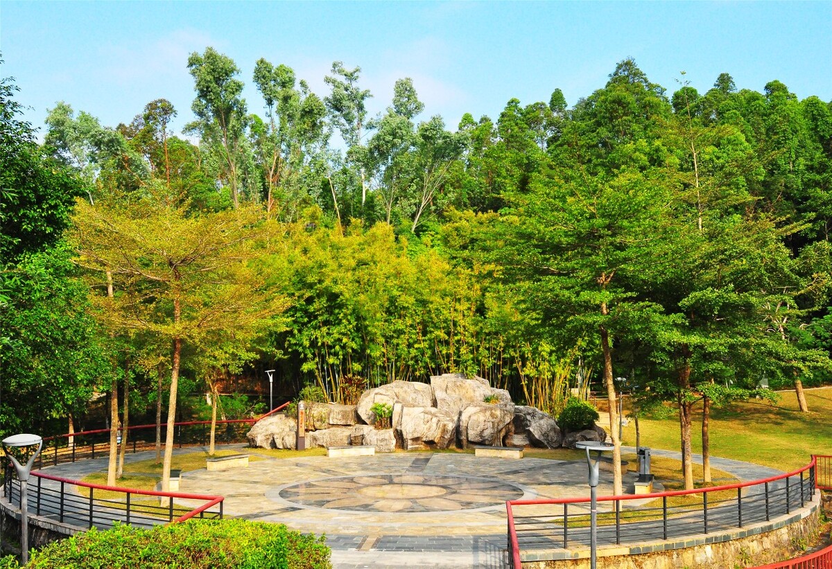 随拍城市公园深圳燕子岭生态公园