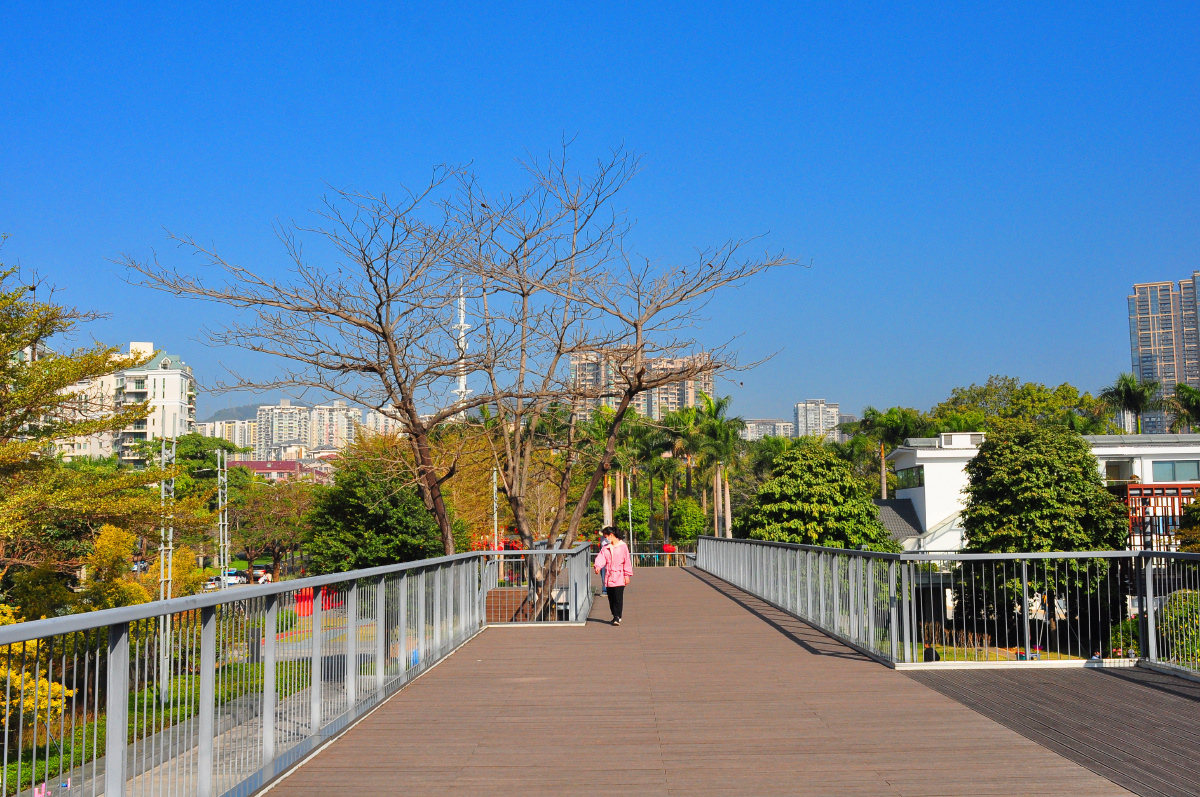 随拍公园深圳香蜜公园