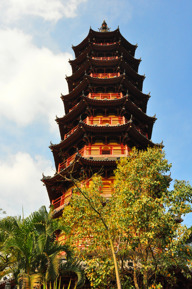 随拍城市公园深圳龙华公园