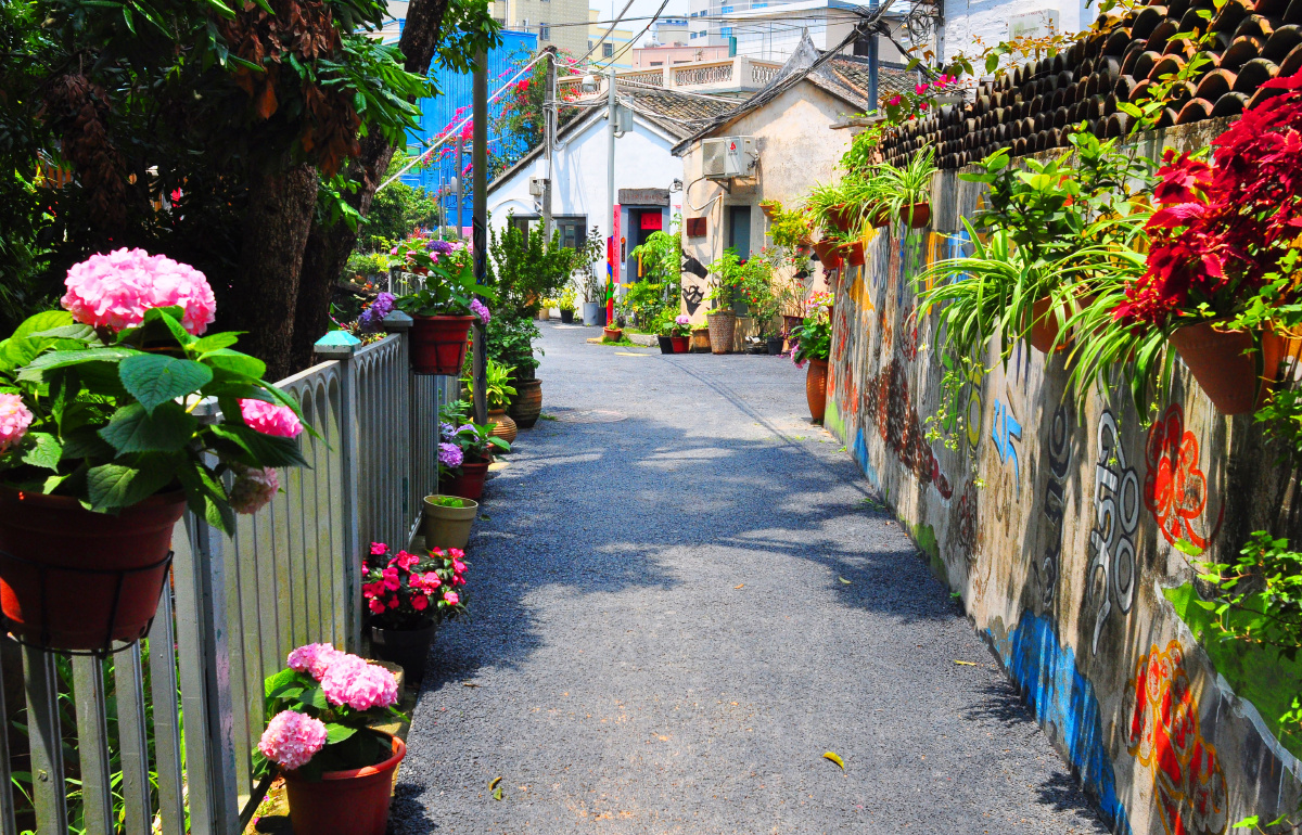 随拍 深圳观澜上围艺术村 - li804 - 图虫