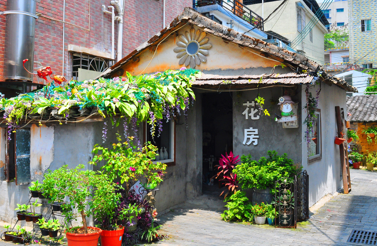 随拍深圳观澜上围艺术村