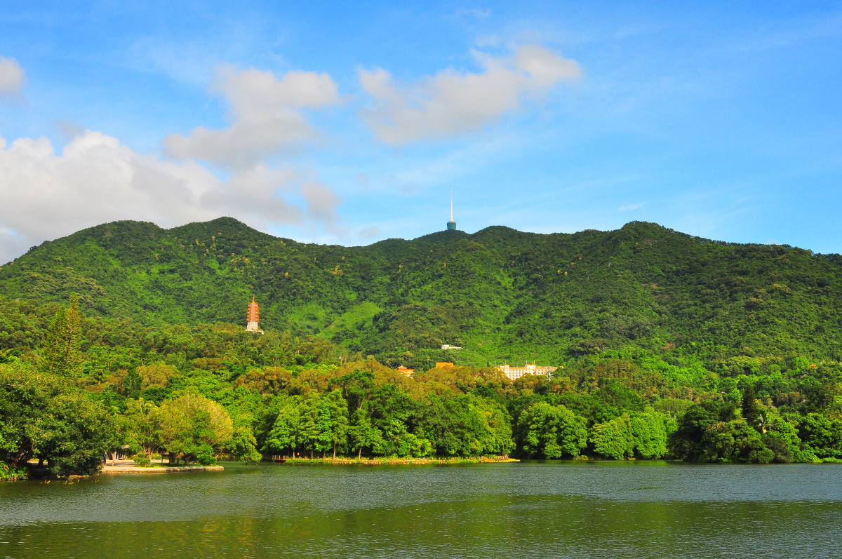 随拍深圳仙湖植物园