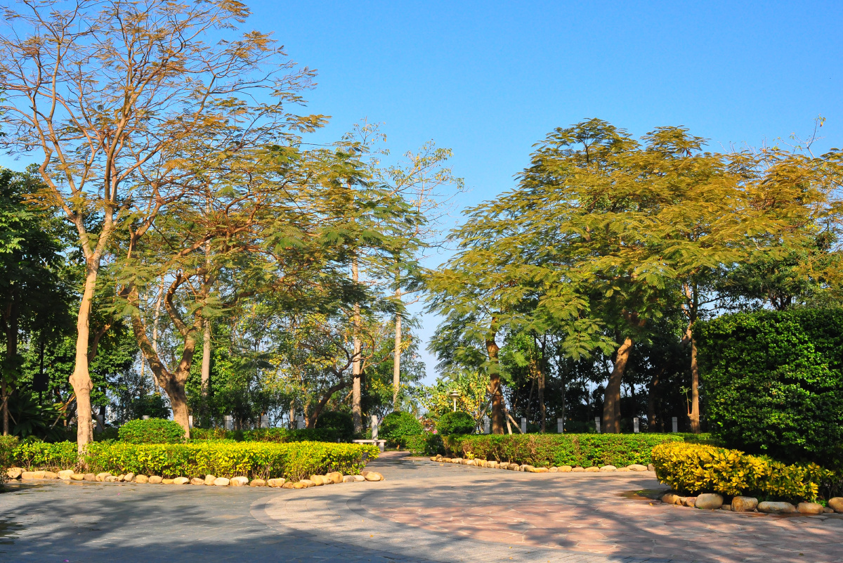 随拍城市公园深圳小南山公园