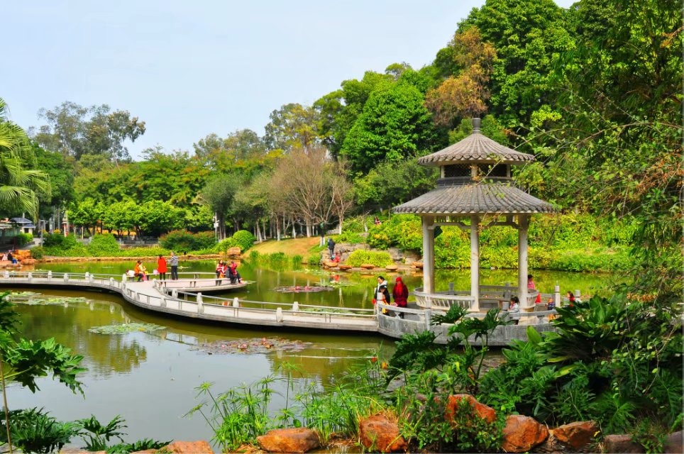 城市公园随拍 - 东莞 人民公园