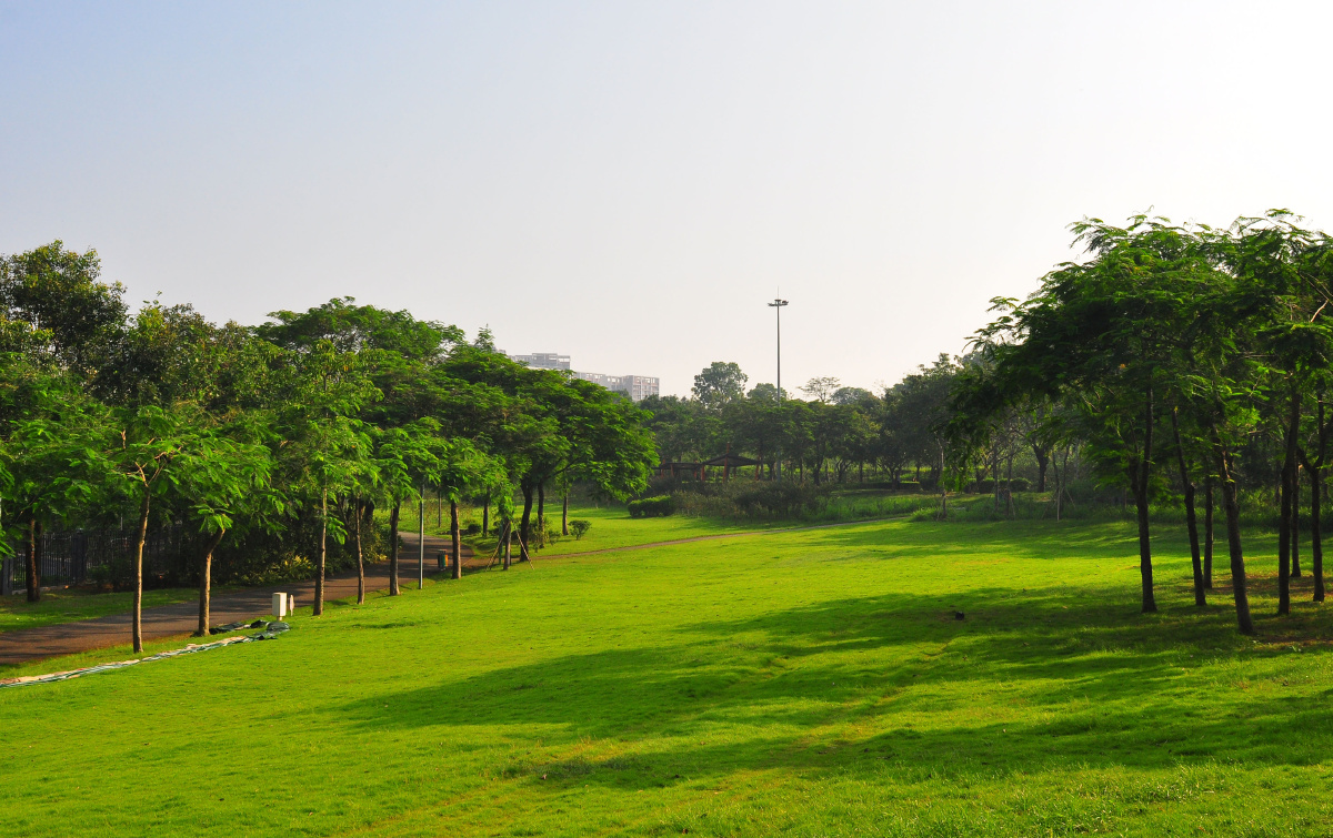 随拍城市公园深圳新城公园